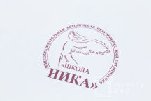 Футболки с логотипом «ШКОЛА НИКА»